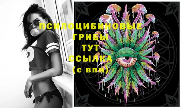соль курить ск Козельск